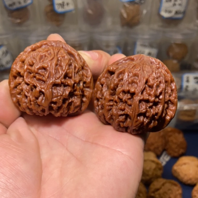 南疆老果边47肚47高41一点点微修