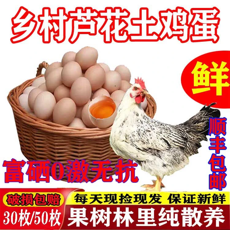 【40枚】大号果林散养芦花土鸡蛋单枚50到55克共2000g以上