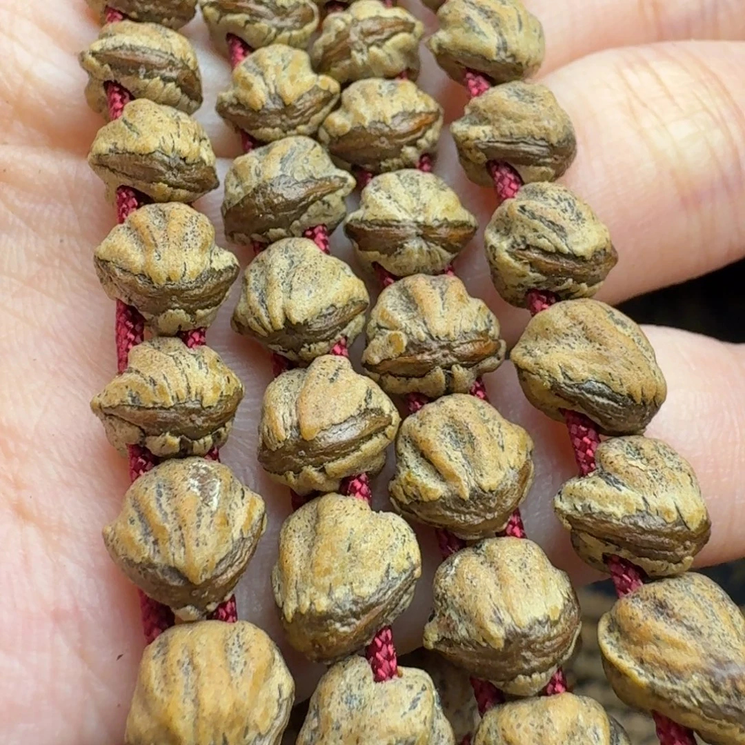 手串柏香籽/百香籽热振红芽蛇骨