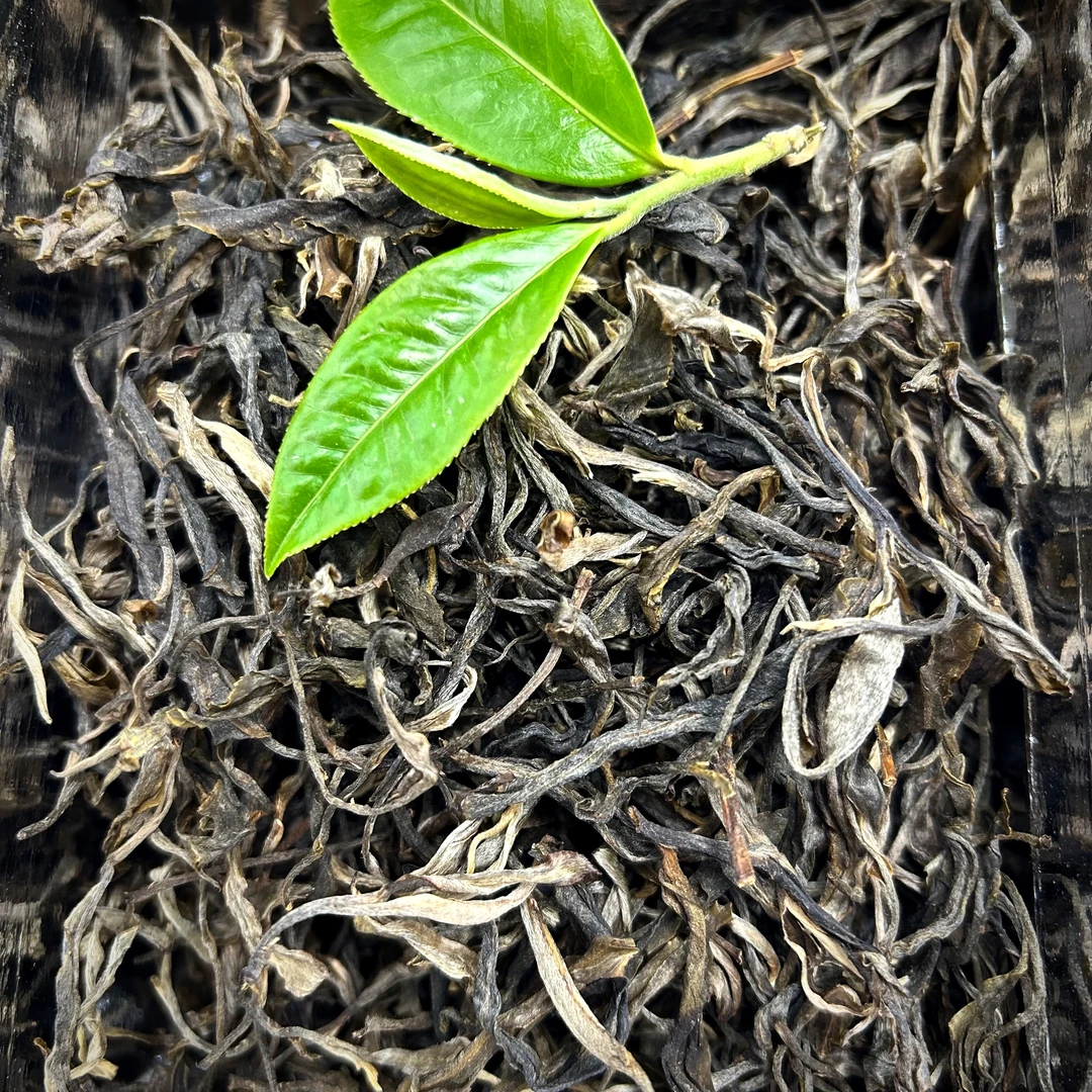 【孤烟暮蝉专属】2025年 明前 春茶景迈大树 生茶散茶（版纳茶区）