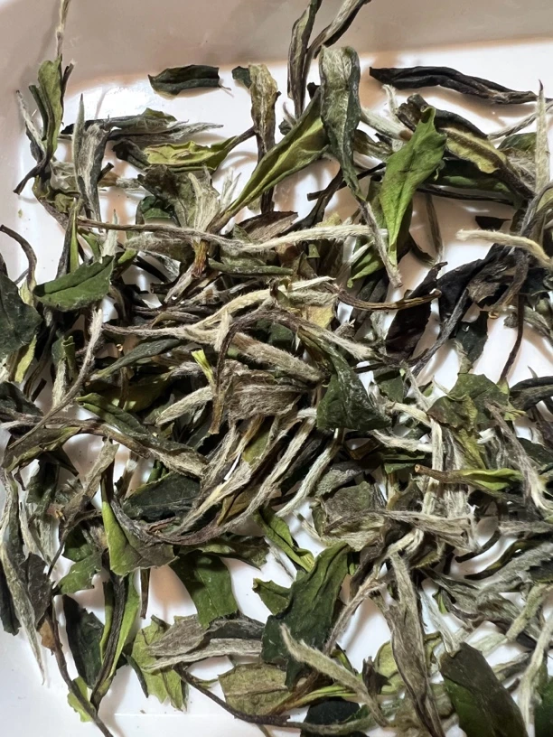 白茶  牡丹二 2025年（初级农产品)二