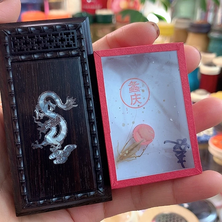 龙盒➕泰国竹蛉啊啊啊