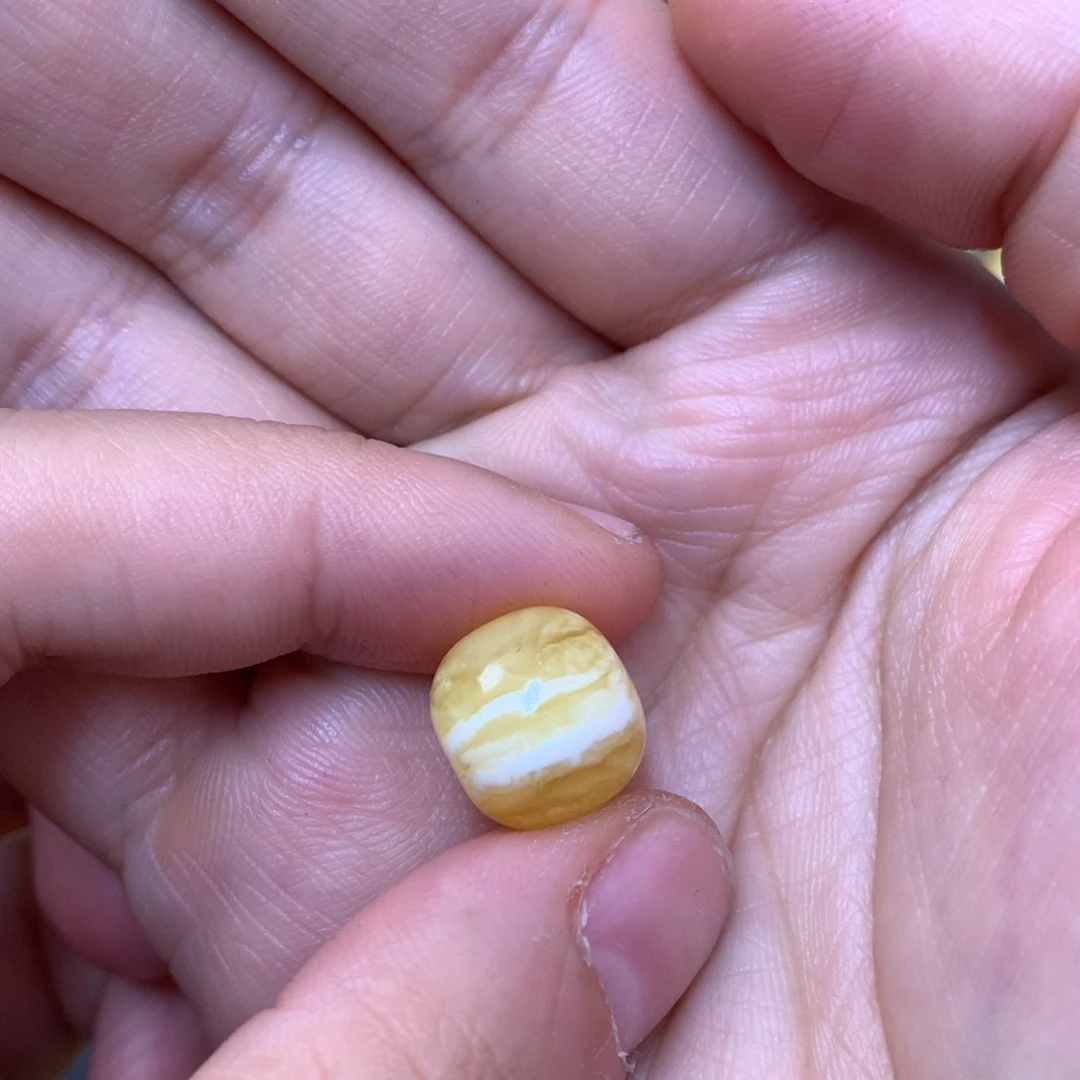 琥珀未镶嵌裸石蜜蜡12.8