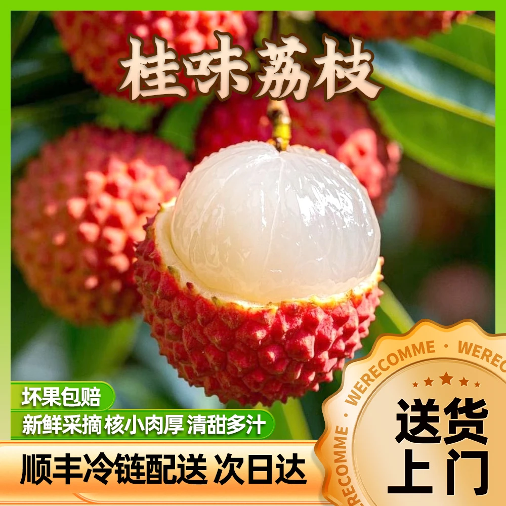 【顺丰空运】增城桂味荔枝新鲜现摘当季高端送礼精品5斤产地次日达