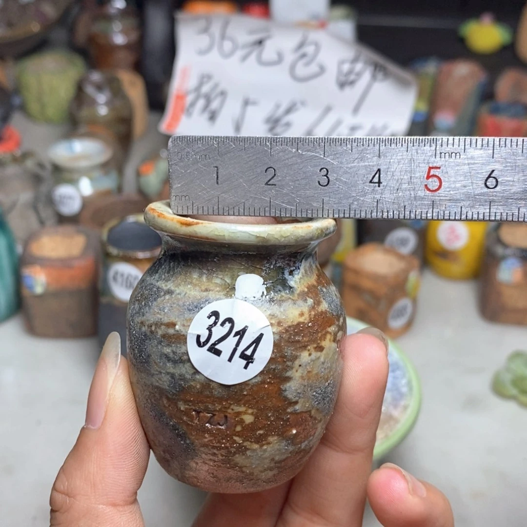 拍5送一个小礼物