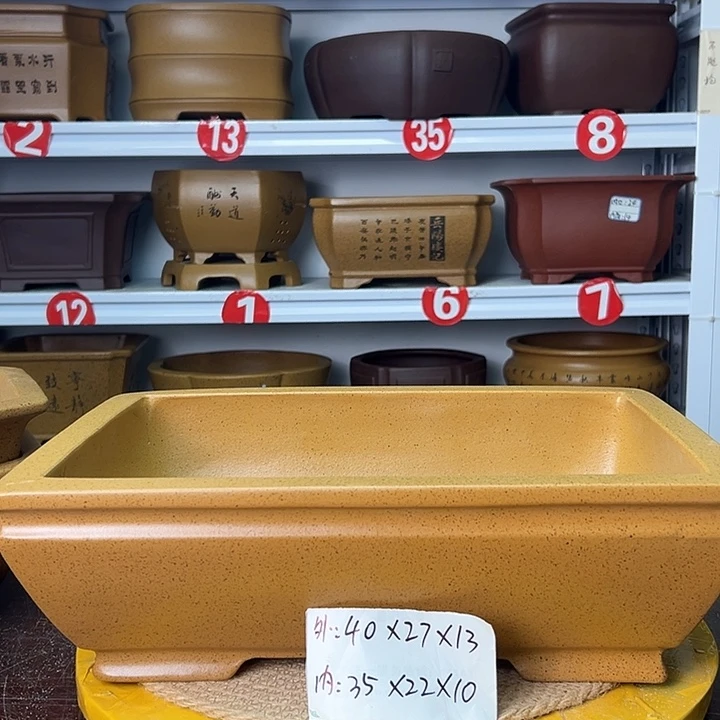 紫砂花盆蛇年大吉