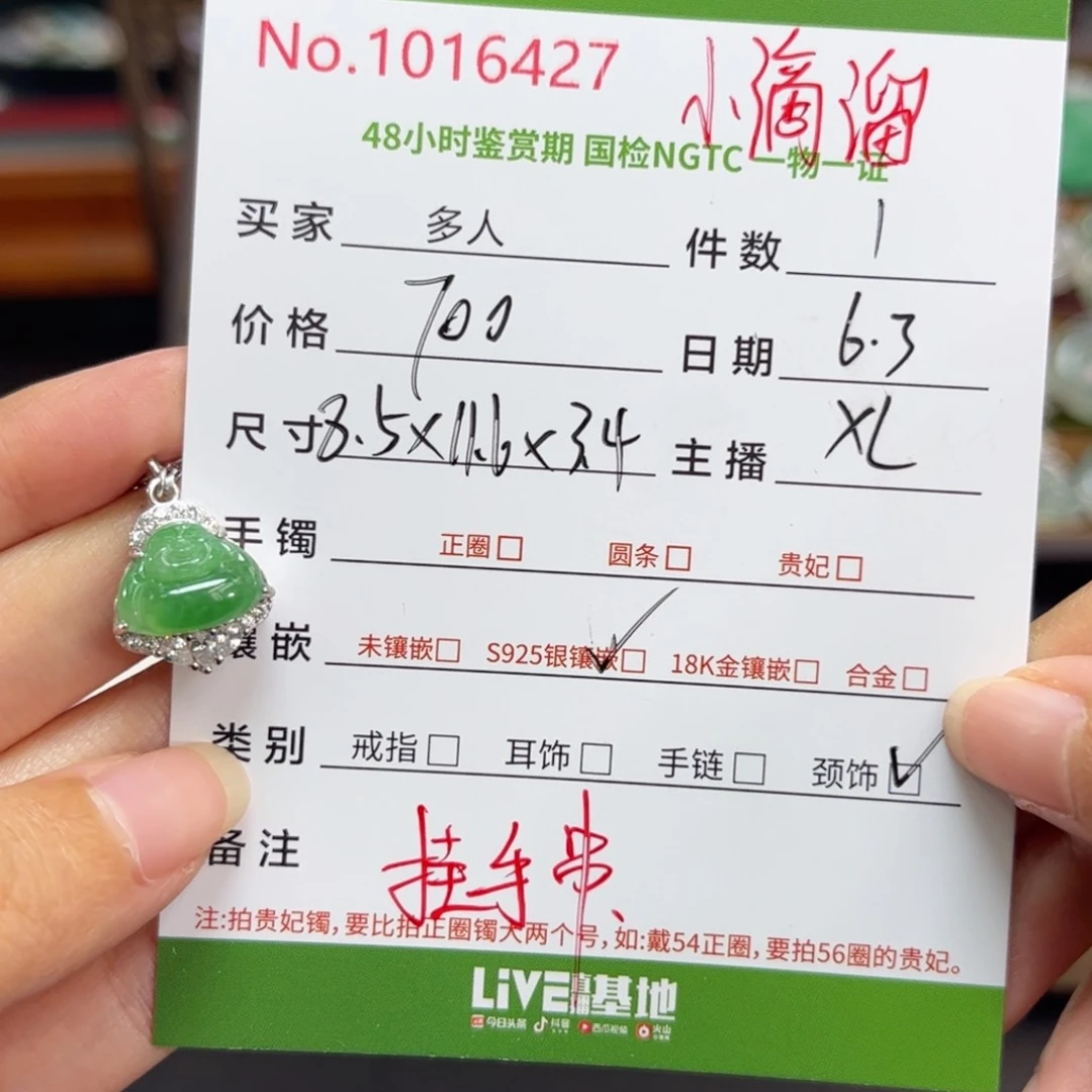 翡翠银S925镶嵌颈饰多人