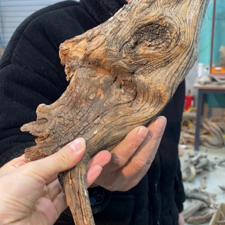 大*我们都是好孩子呀