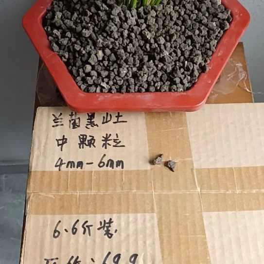 ****️兰菌黑山土中颗粒6.6斤
