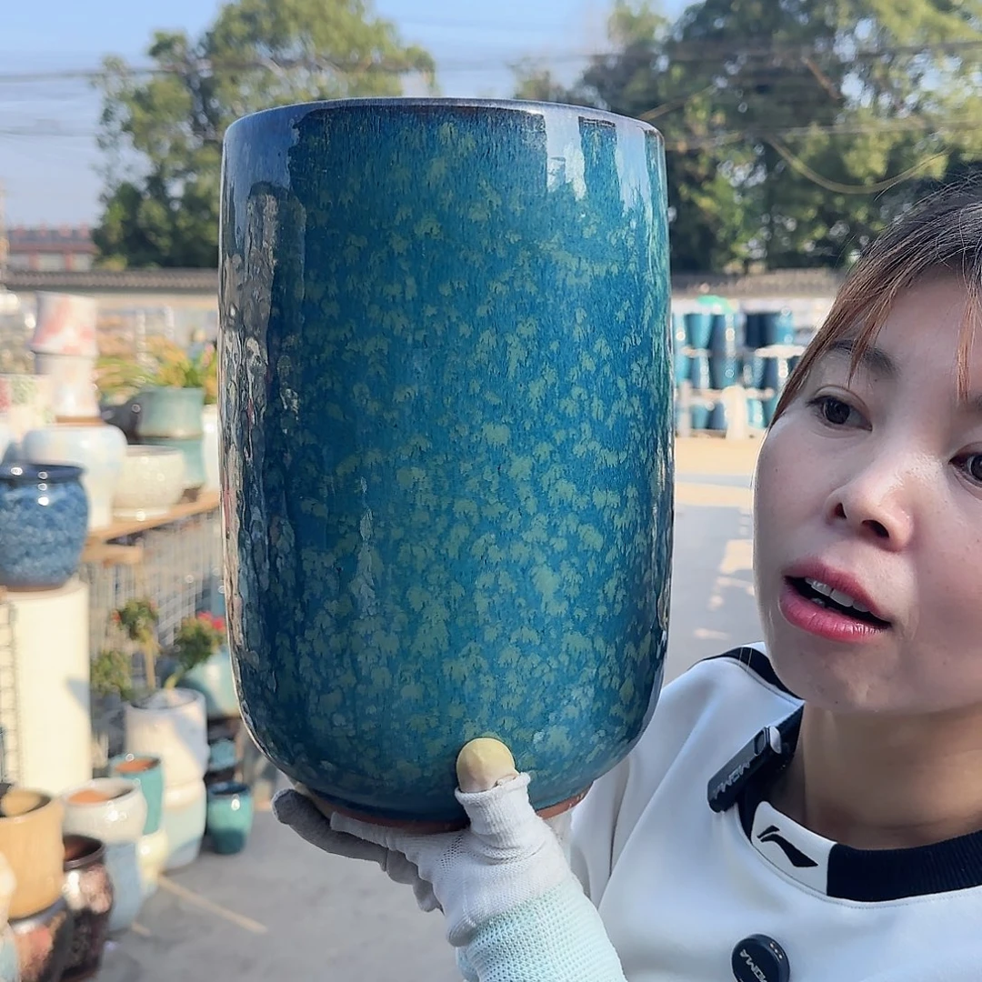 王嫂花盆直播1116-3799高30口19