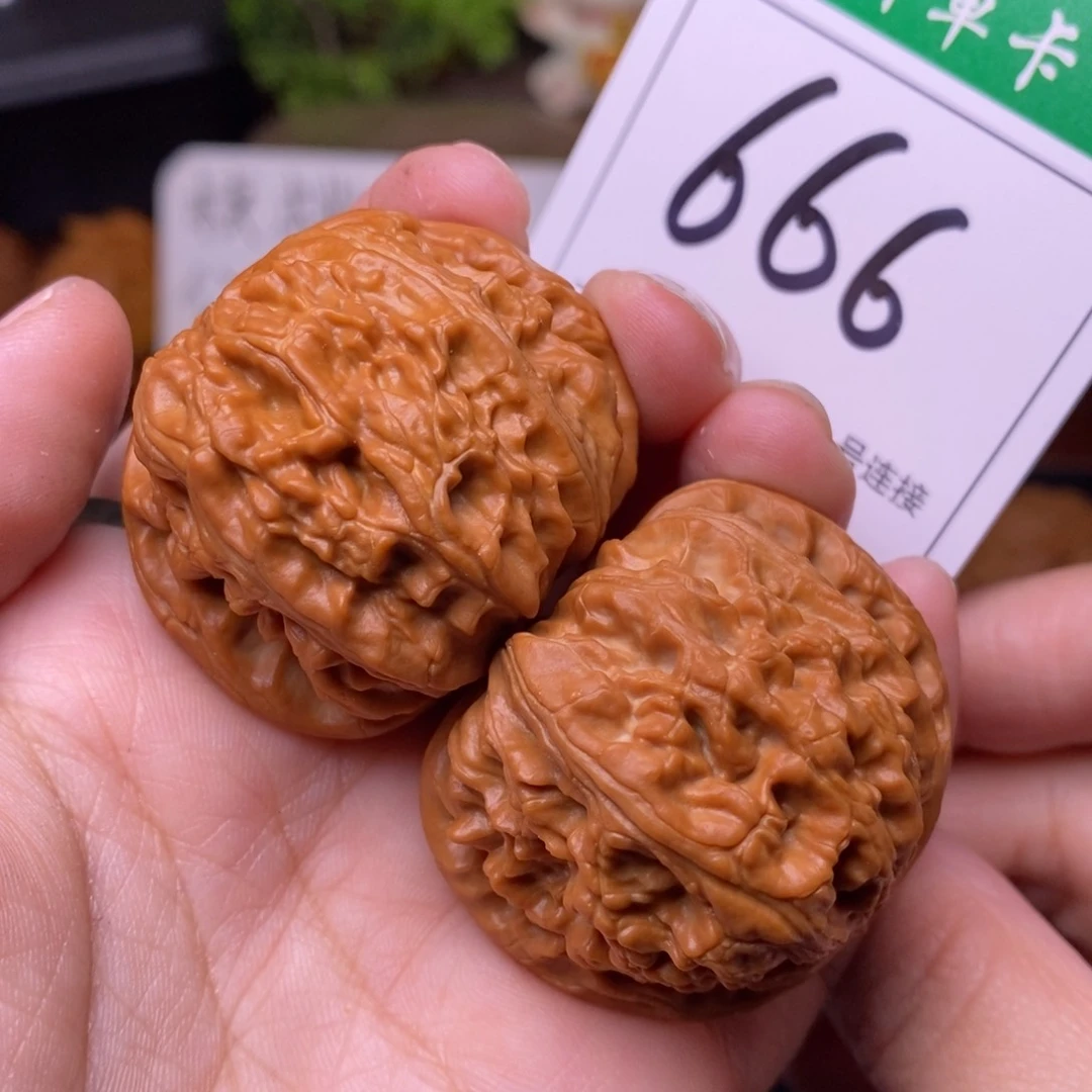 把件文玩核桃666白狮子4.1