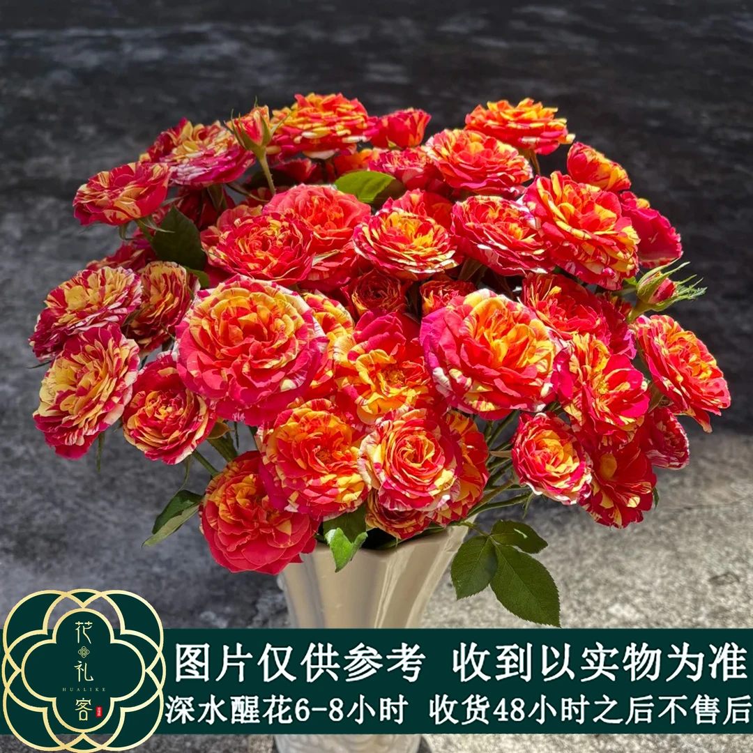 云花巷#多头玫瑰 【精彩】鲜花优选 顺丰直发