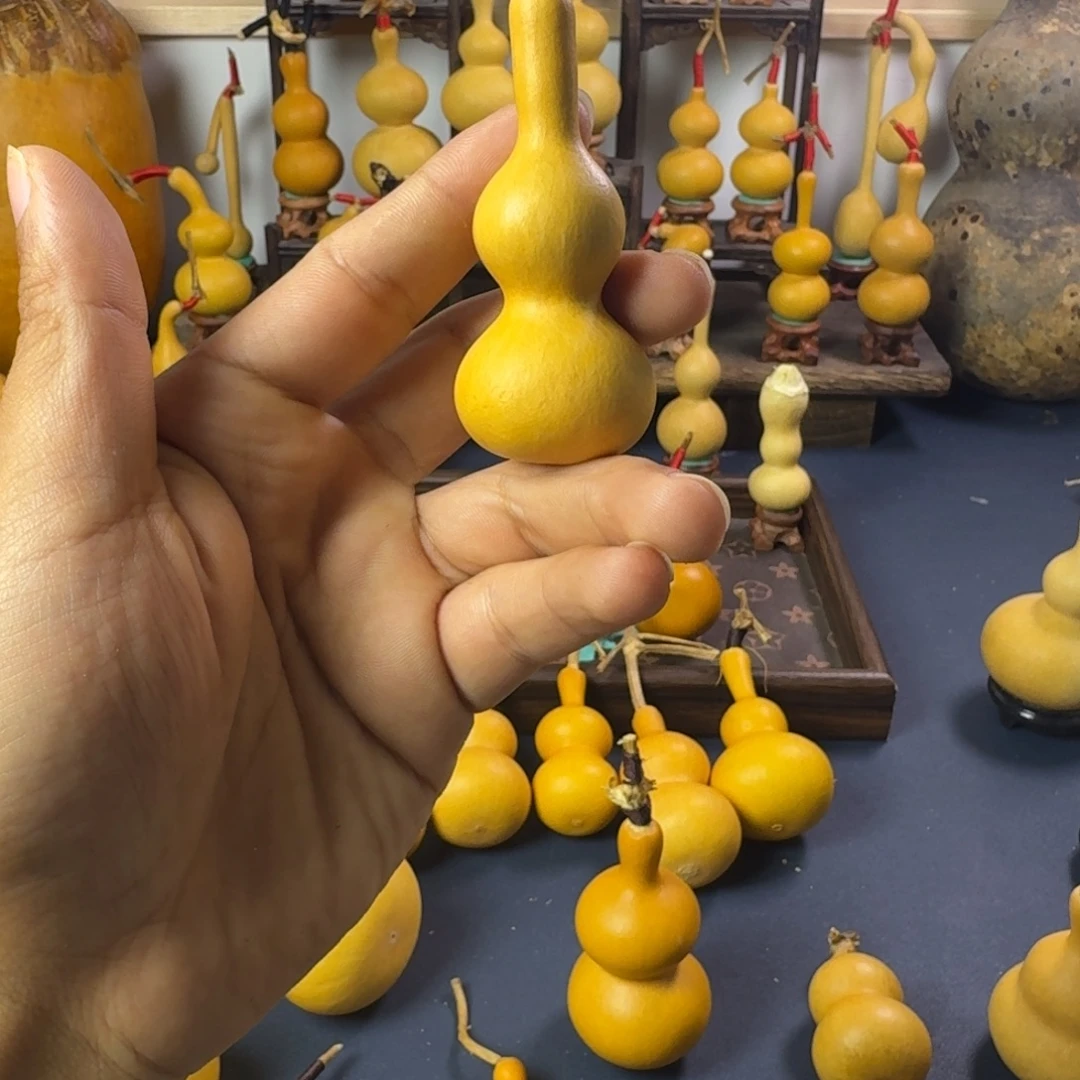 直播间专项链接 请勿乱拍
