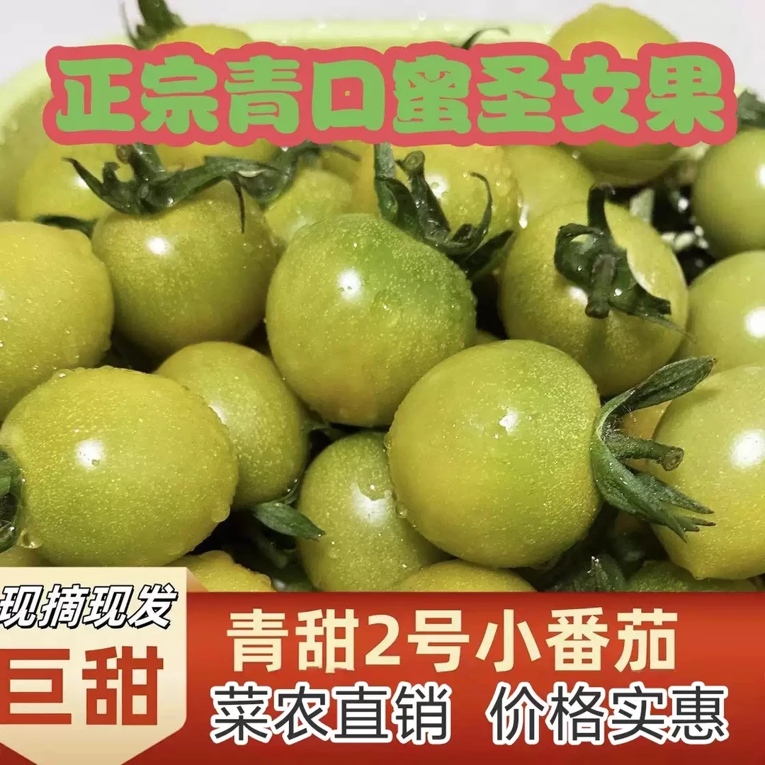 【京东冷链】山东寿光青甜2号圣女果2/3斤小番茄新鲜水果蔬菜小柿子
