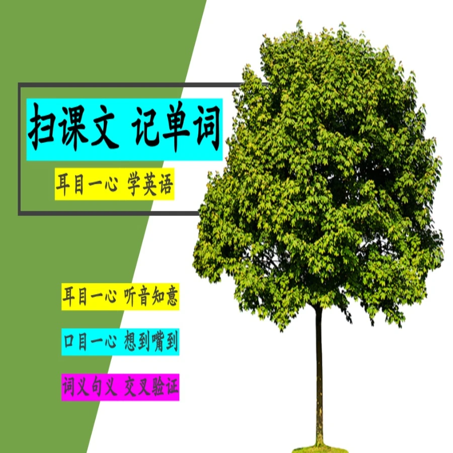 扫课文记单词学英语