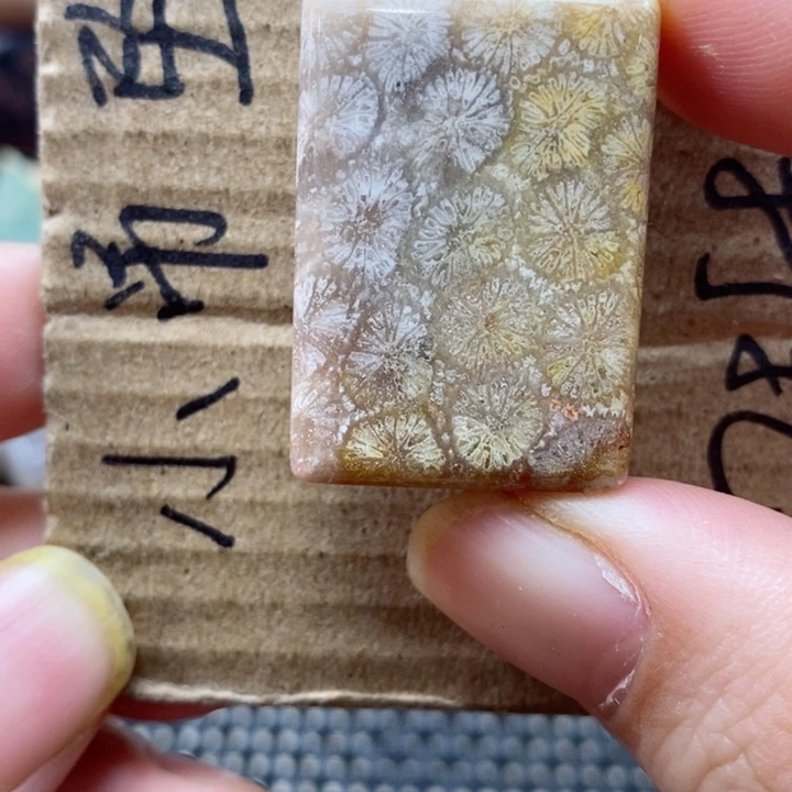 硅化珊瑚（珊瑚玉）颈饰未镶嵌