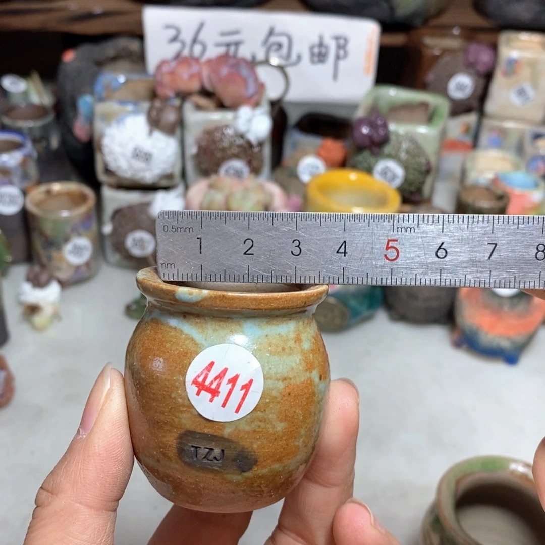 拍5送一个小礼物