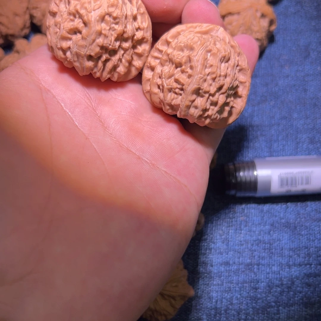 40三角白无药，一只有小水黄