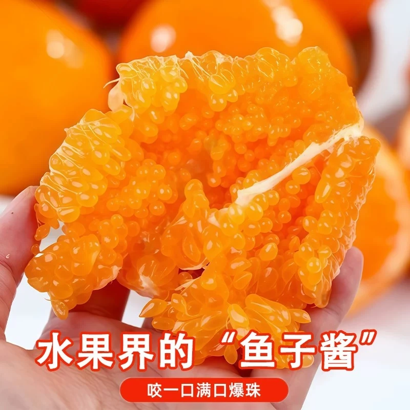 四川浦江耙耙柑5斤 ±0.2斤耙耙柑四川省眉山市