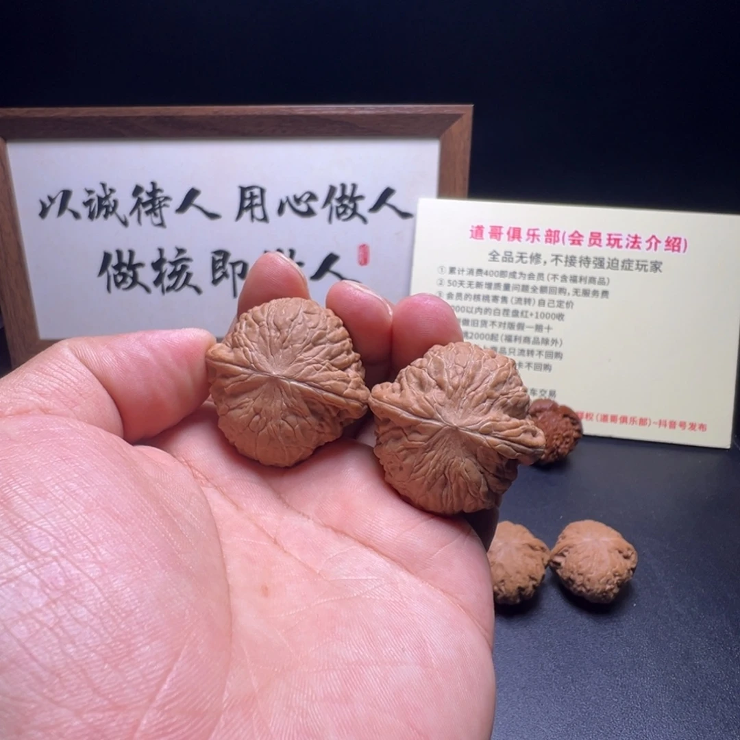 核桃全品无修铁锤妹妹