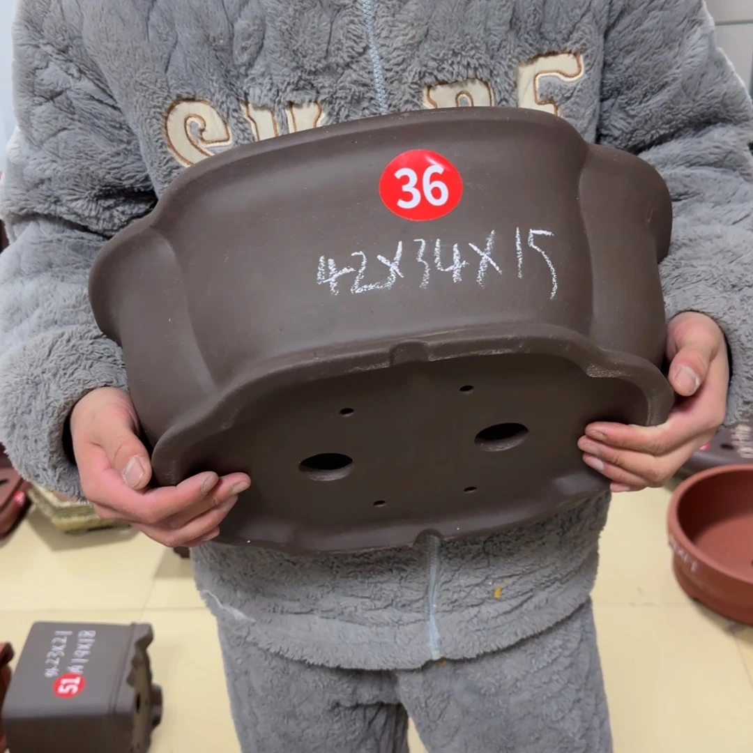 紫砂花盆呜呜呜呜