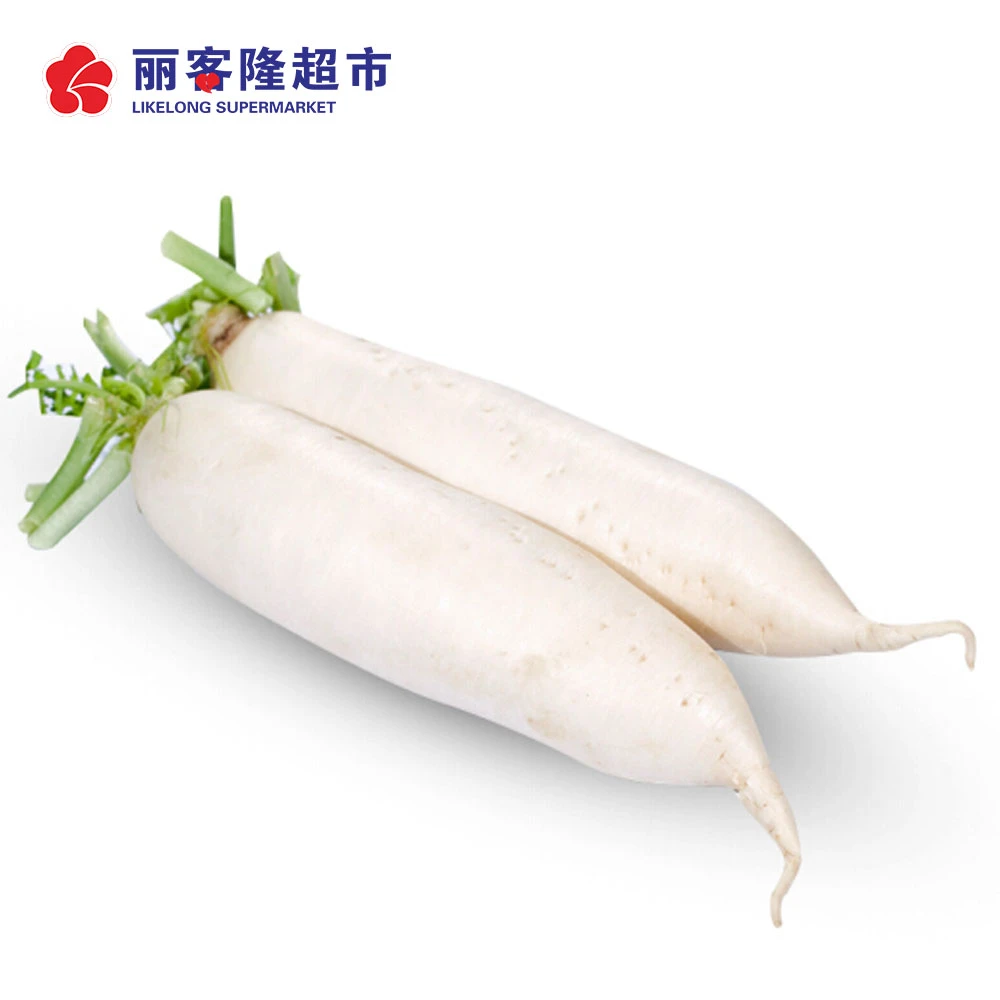 拉市白萝卜1000g/份白萝卜