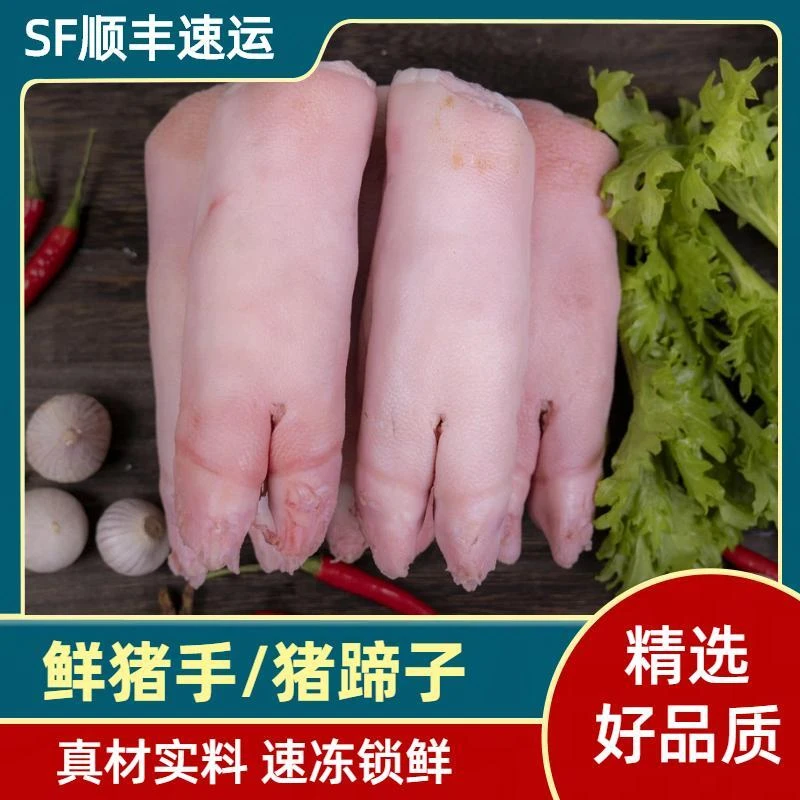 新鲜猪手猪蹄子猪肘子卤菜食材家用商用3斤5斤商用冷冻顺丰包邮