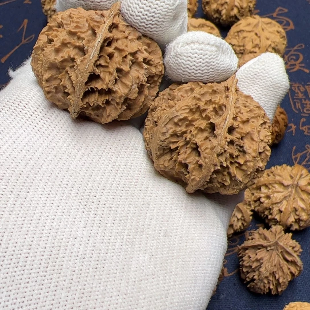 文玩核桃把件既****住秦岭野生植物核桃