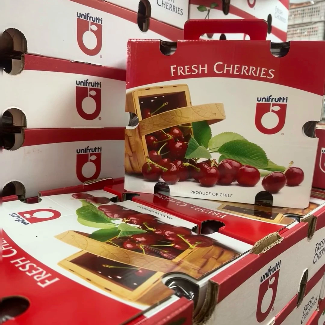 特价 3J车厘子 锁扣原箱5斤装 纯甜口 甜绿杆 无售后