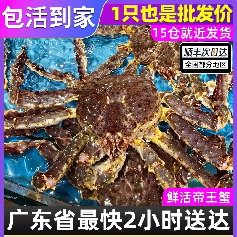 俄罗斯深海帝王蟹{6斤/只】冷链顺丰保鲜包活