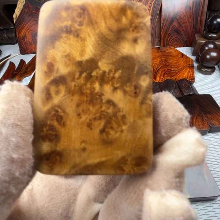 樟科（黄金檀）我是不是应该好好学习