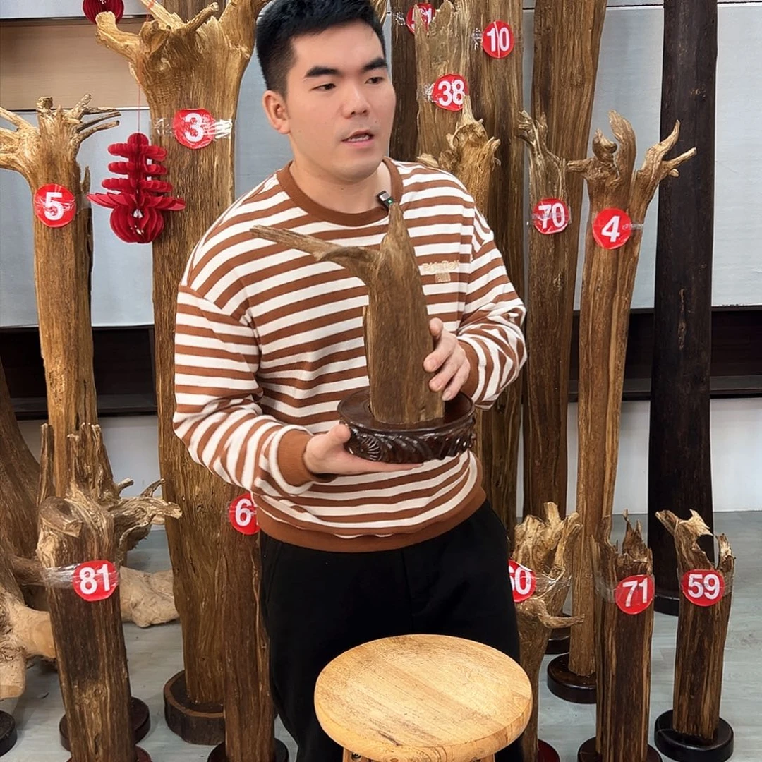 沉香摆件海南沉香摆件