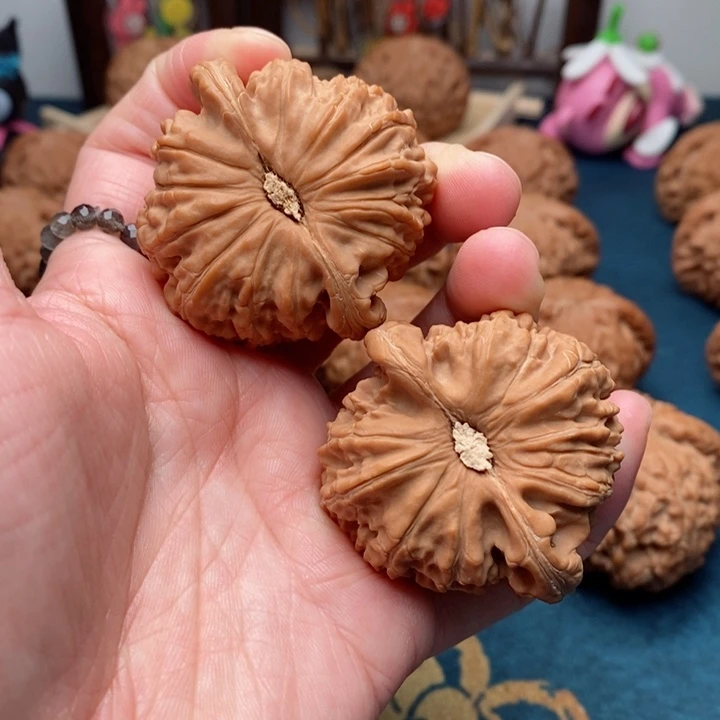 文玩核桃把件白狮子44