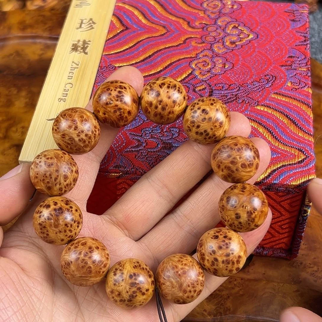 柏木20崖柏陈化瘤花爆满瘤花