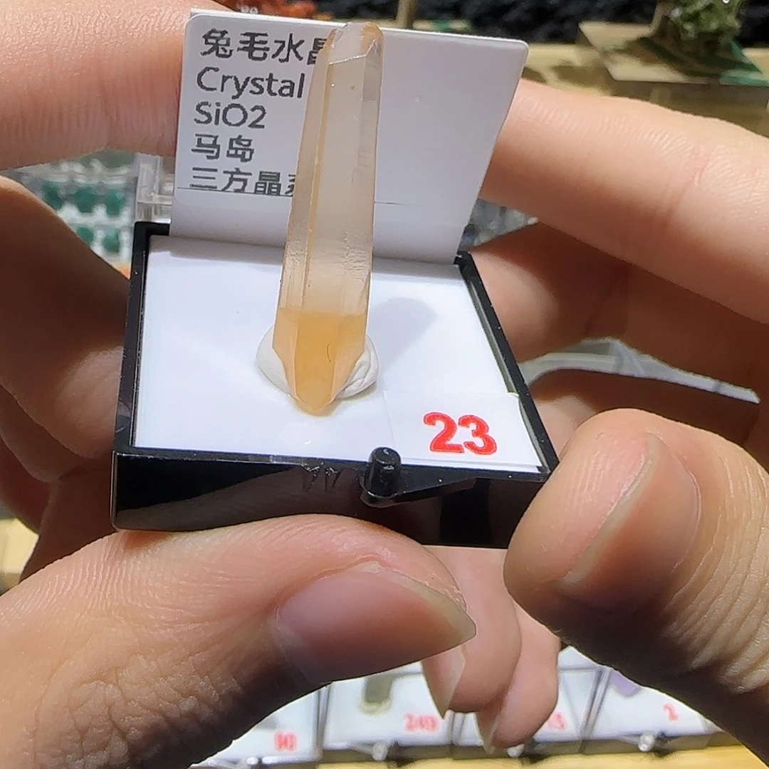 石材兔毛宝宝吧宝宝