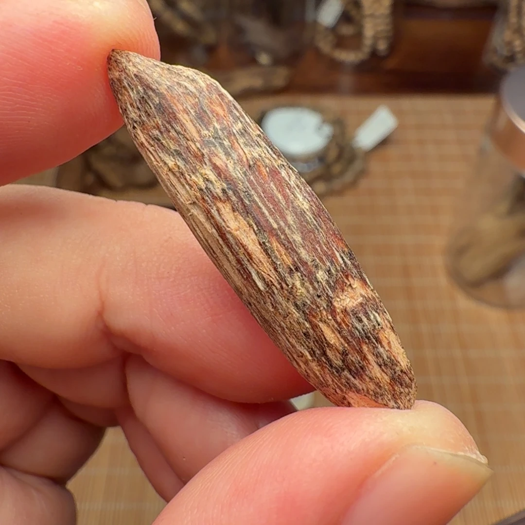 沉香香港大屿山棋韵瓜子
