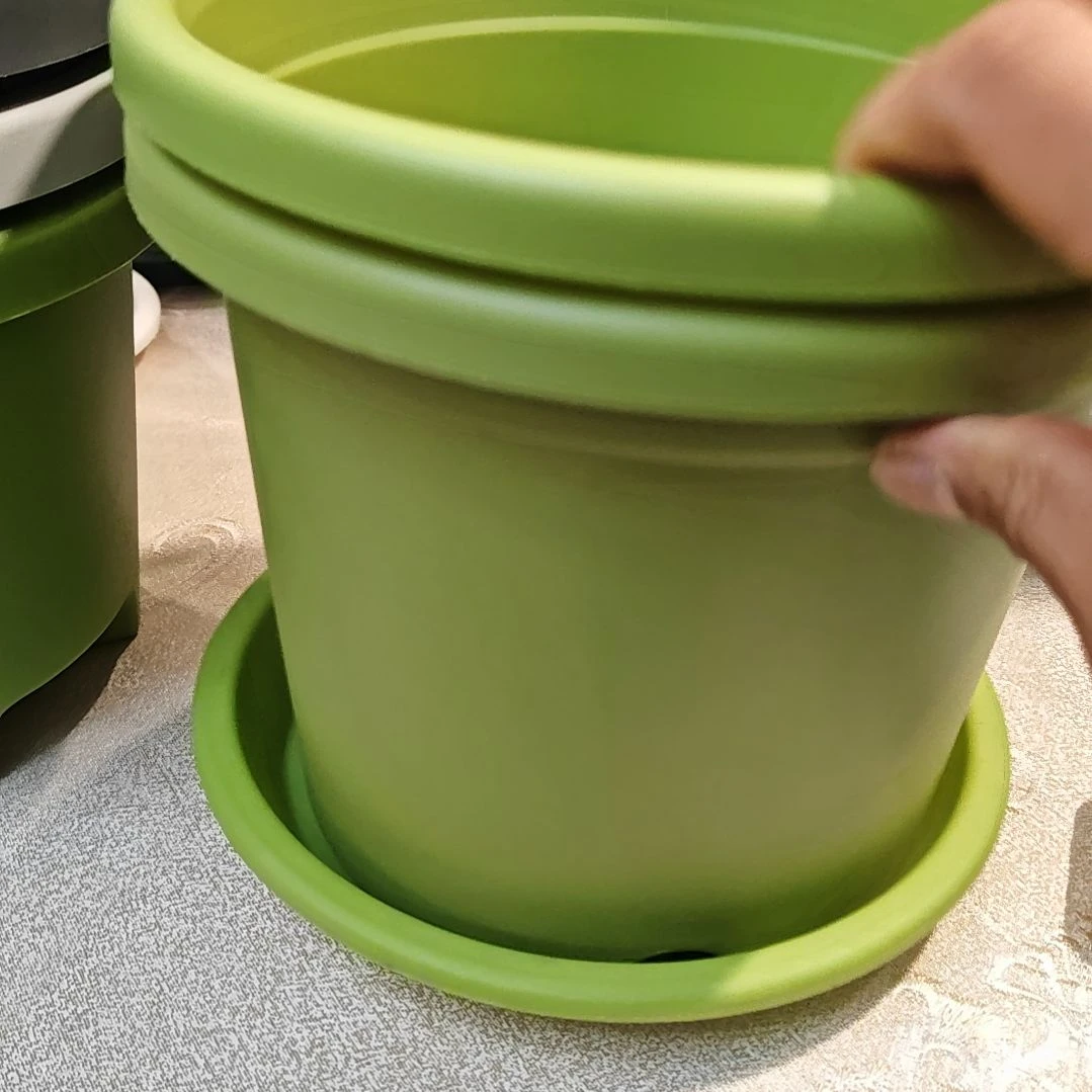 树脂四季盆外口径21，果绿带托五个
