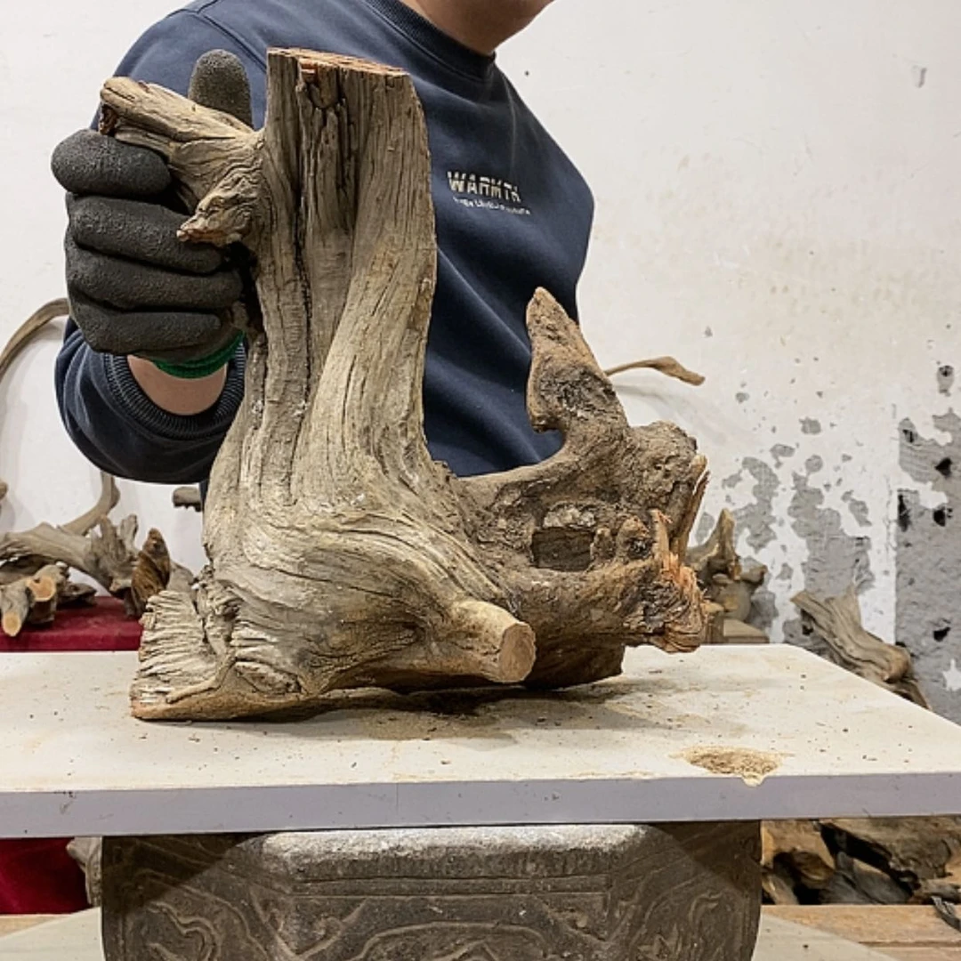 【闪购商品】柏木展****）我们都是好孩子