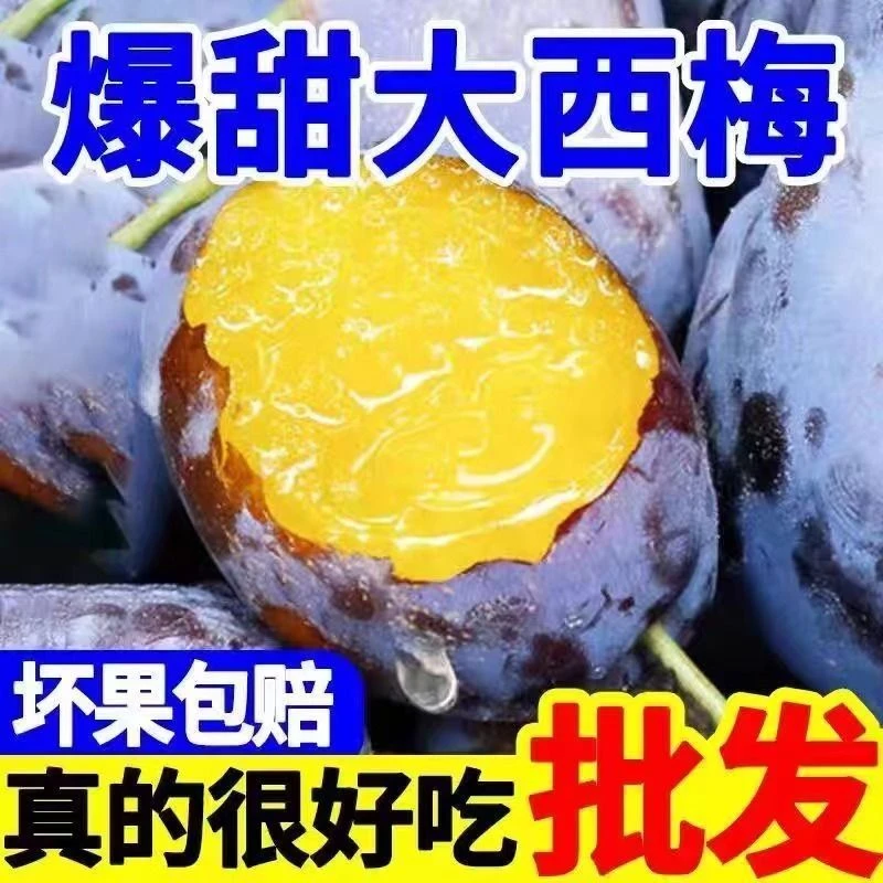 【顺丰包邮】爆甜大西梅新鲜孕妇水果西梅鲜果新疆甜西梅李子批发