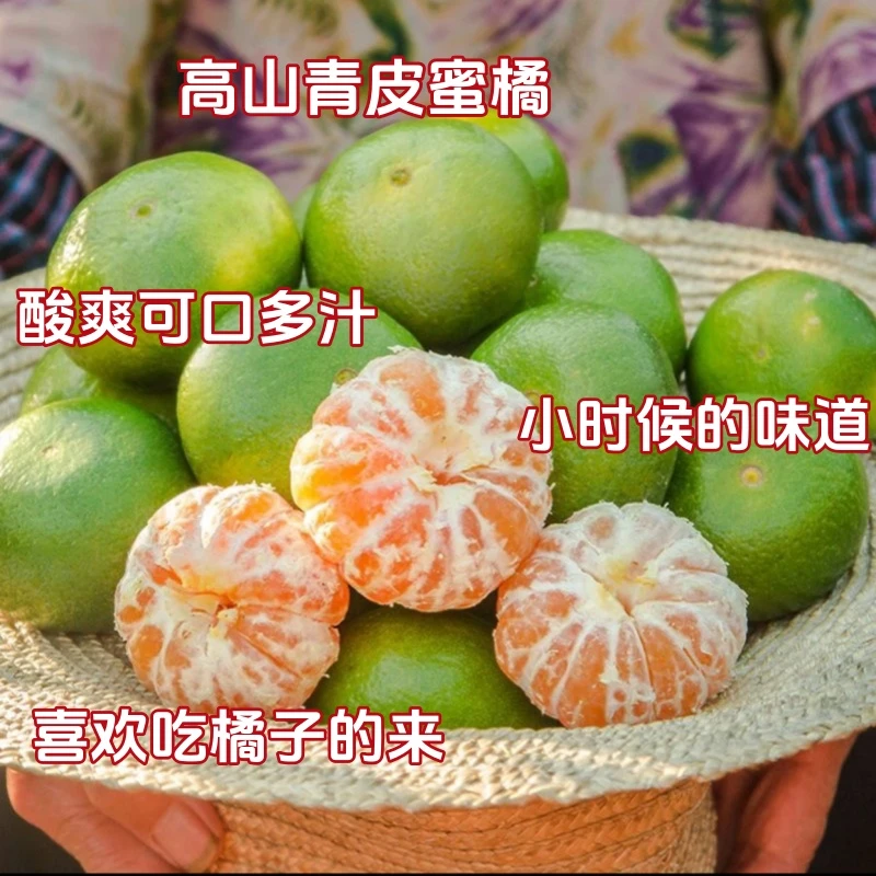 【25年头岔鲜果】云南高山青皮蜜桔孕妇新鲜水果酸爽多汁橘产地直发