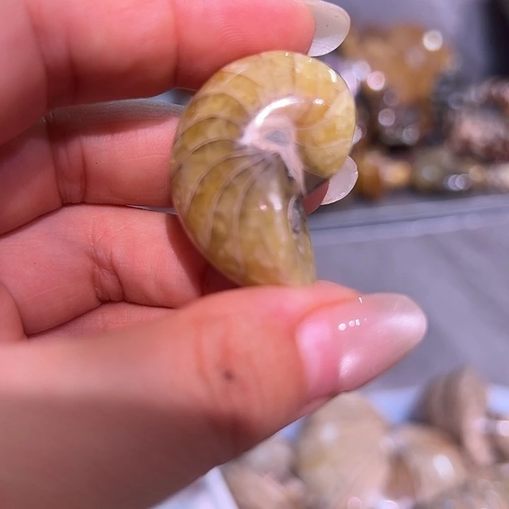 龍***龍石材家居装饰摆件