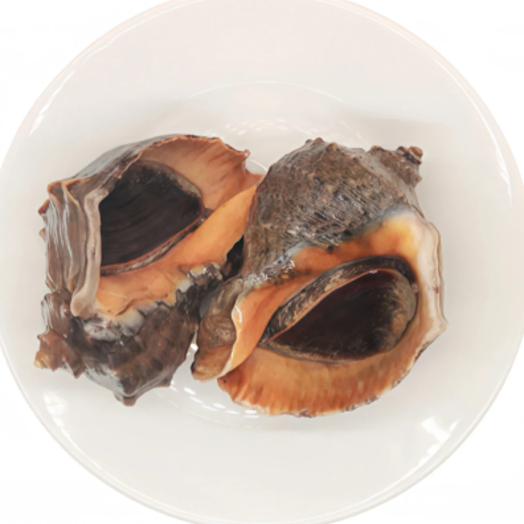 海螺 英姐海鲜  沈阳市内三小时内送达