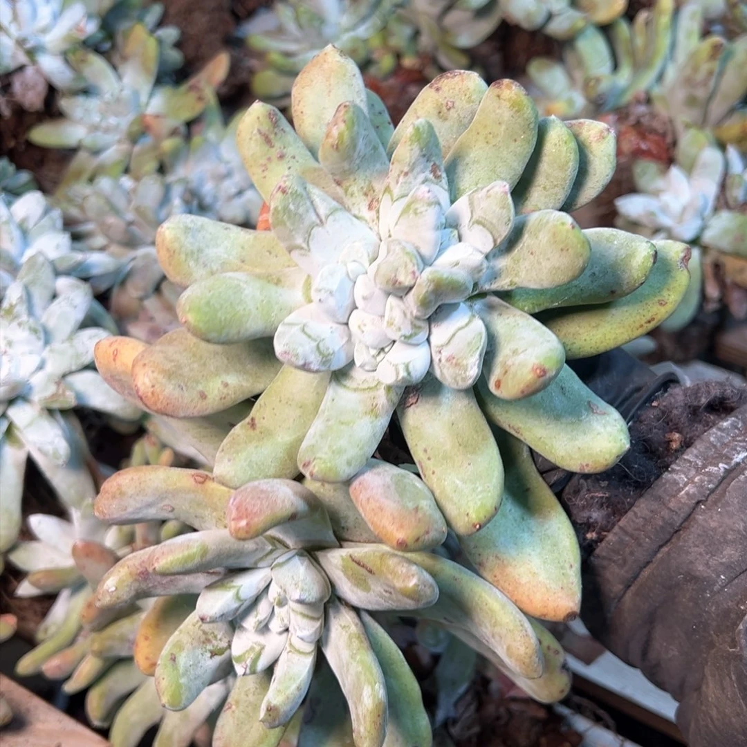 7643哈哈哈哈哈哈