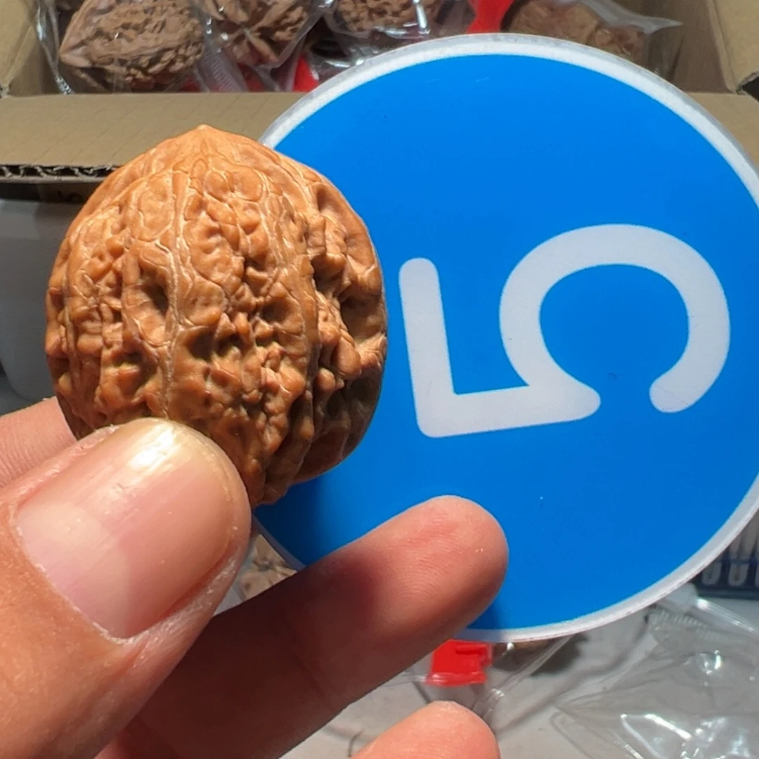 月***墩文玩核桃，蓝色05号