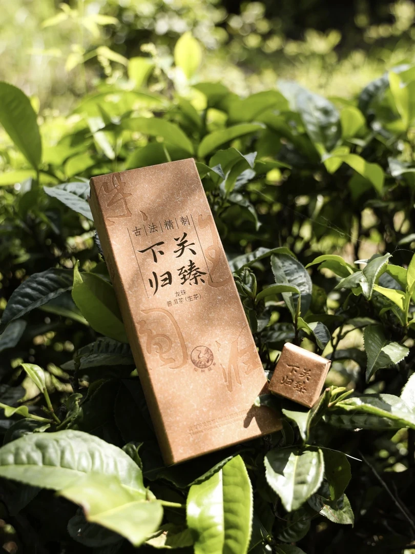 下关沱茶2025年归臻龙珠普洱生茶 96克盒装 昔归古树茶揉制