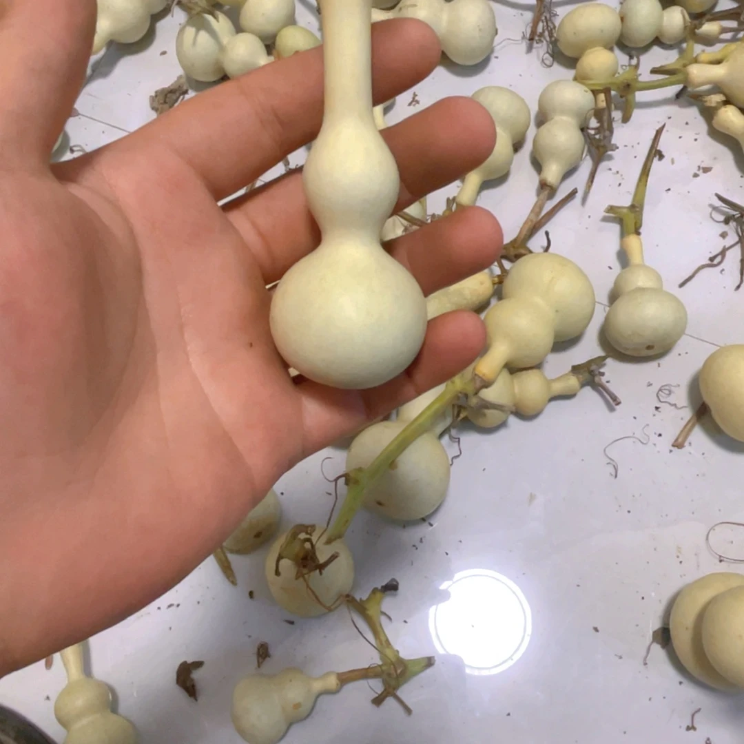 自***人感谢大哥支持兄弟不保