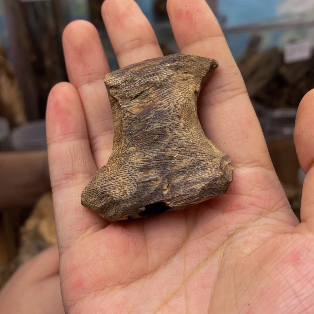 沉香碎屑沉香8.8克19