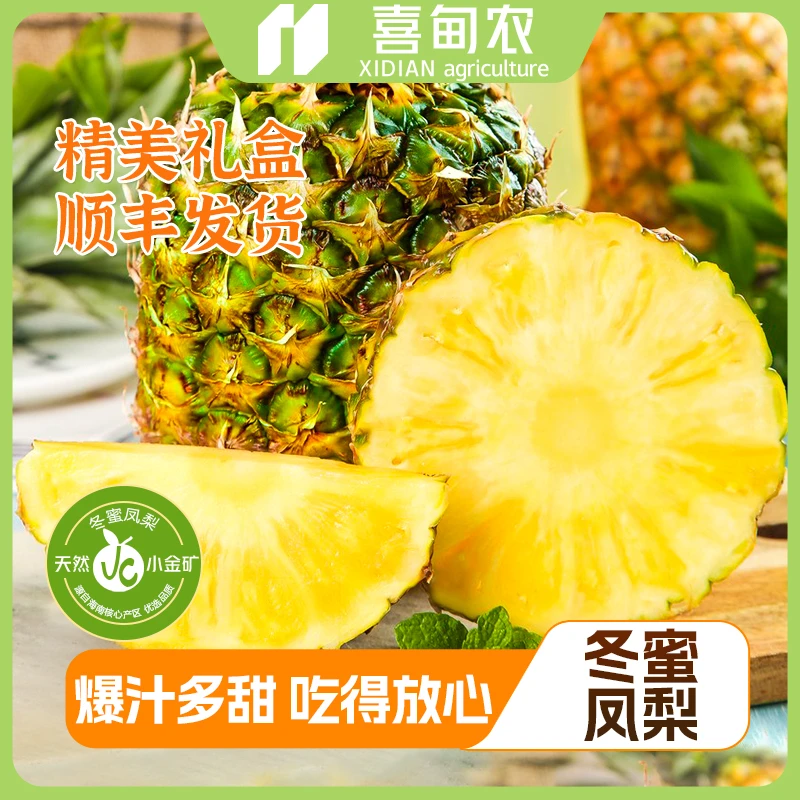 【喜甸农】海南树熟冬蜜凤梨礼盒装 香甜可口多汁 新鲜应季当季水果