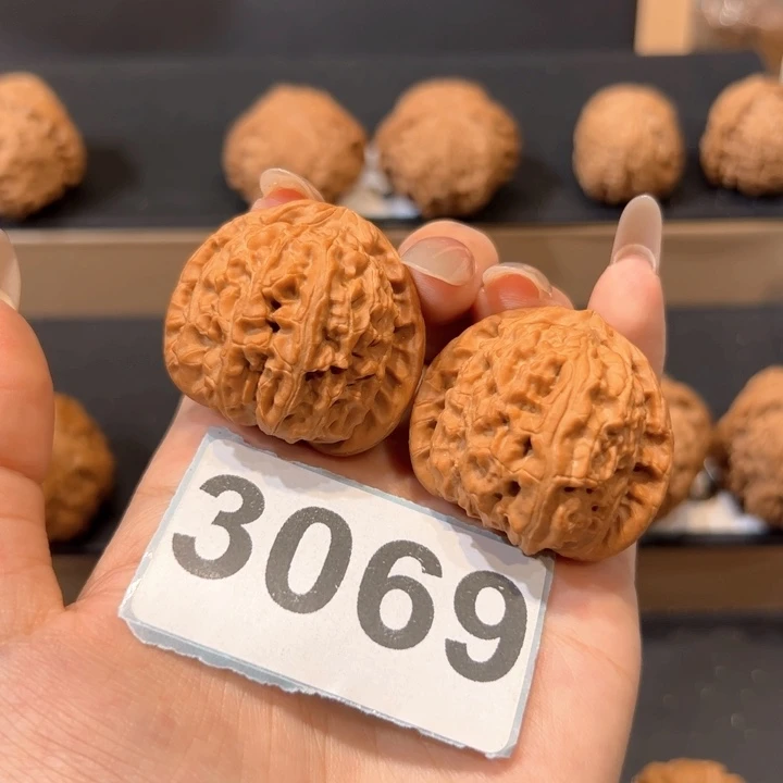 桃核吊坠37白狮子文玩核桃