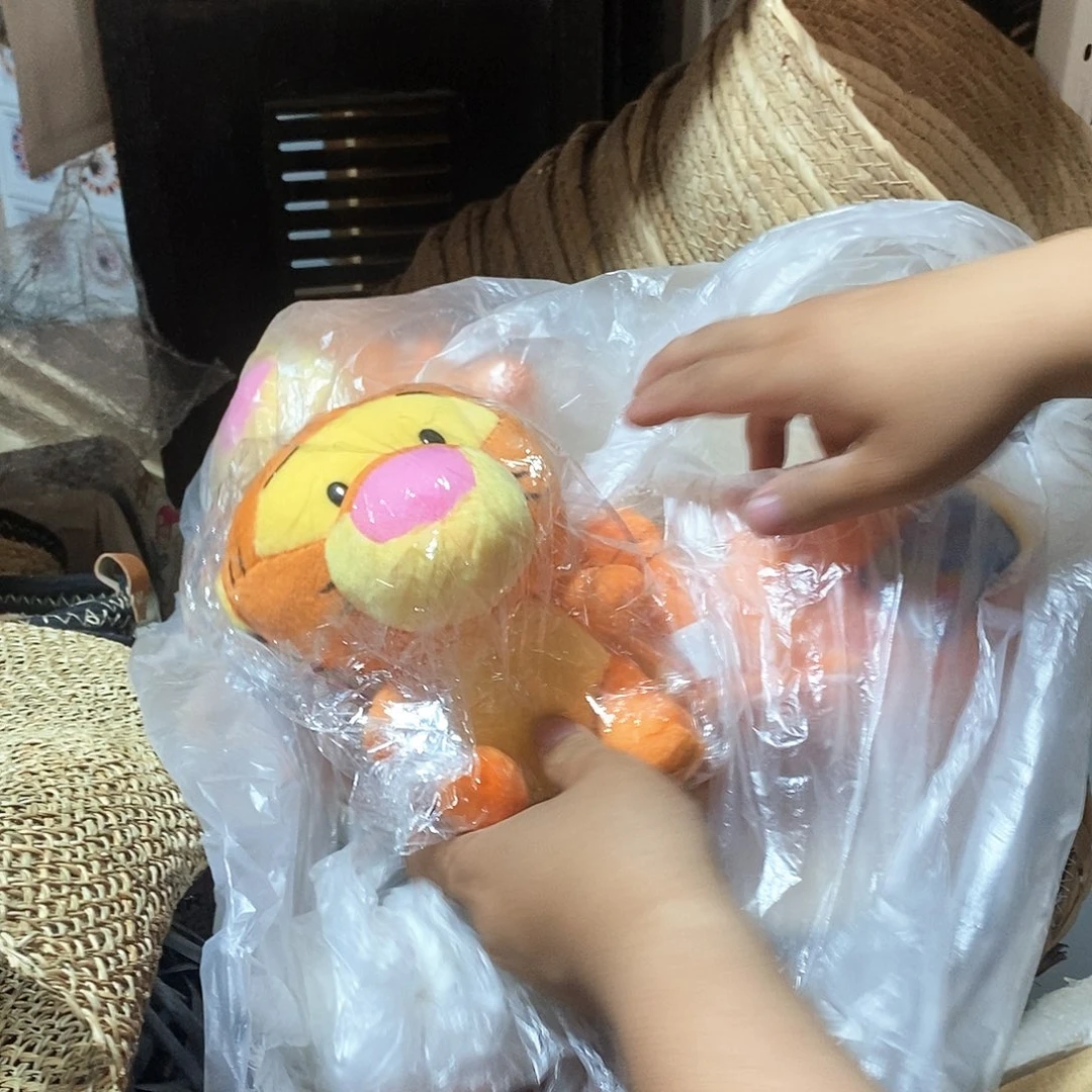 木00089跳跳虎玩具